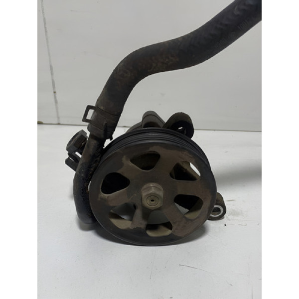 Bomba De Direçao Hidraulica Santa Fe 3.5 V6